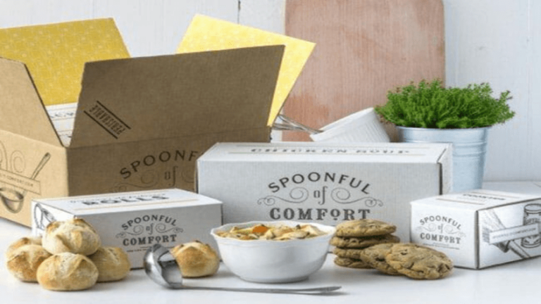 Spoonful of Comfort Vegan: A Heartwarming Option for All